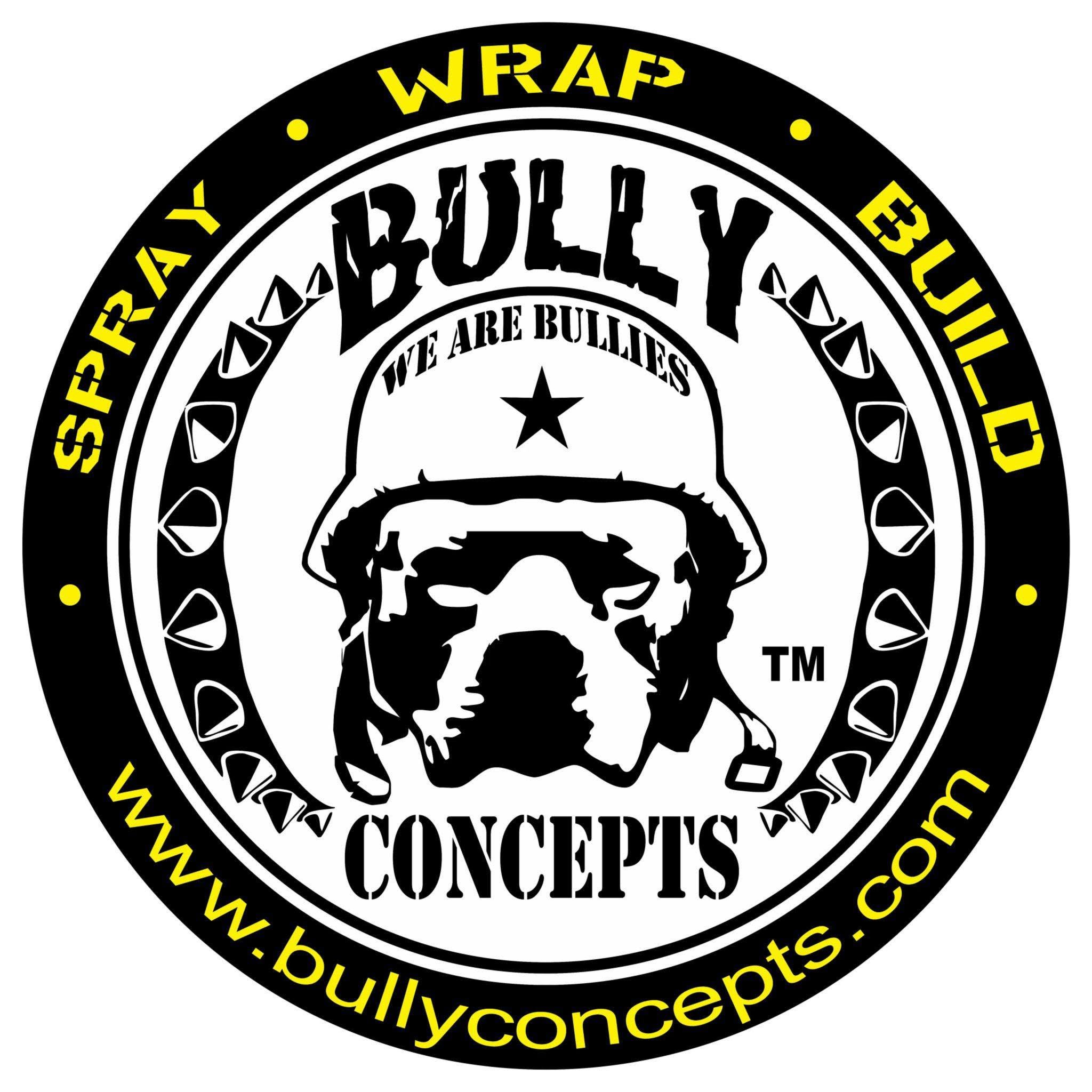 Bullyconcepts